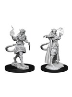 WizKids WK90304 DND Tiefling Female Sorcerer WV15