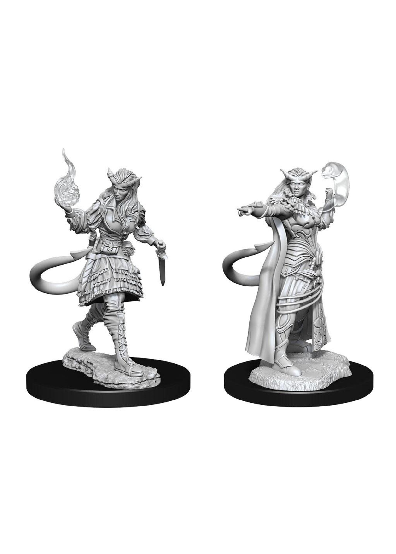 WizKids WK90304 DND Tiefling Female Sorcerer WV15