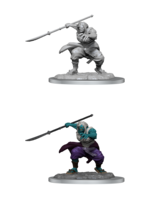 WizKids WK90490 DND Oni Female WV17