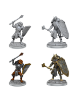 WizKids WK90522 DND Dragonborn Clerics WV18