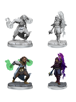 WizKids WK90410 DND Half Elf Warlock WV20
