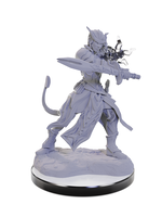 WizKids WK90670 DND Tiefling Warlocks WV22