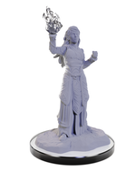 WizKids WK90672 DND Elf Wizards WV22