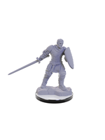 WizKids WK90673 DND Reborn Paladin Warlock WV22