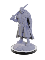 WizKids WK90674 DND Loup Garou WV22