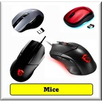 Mice