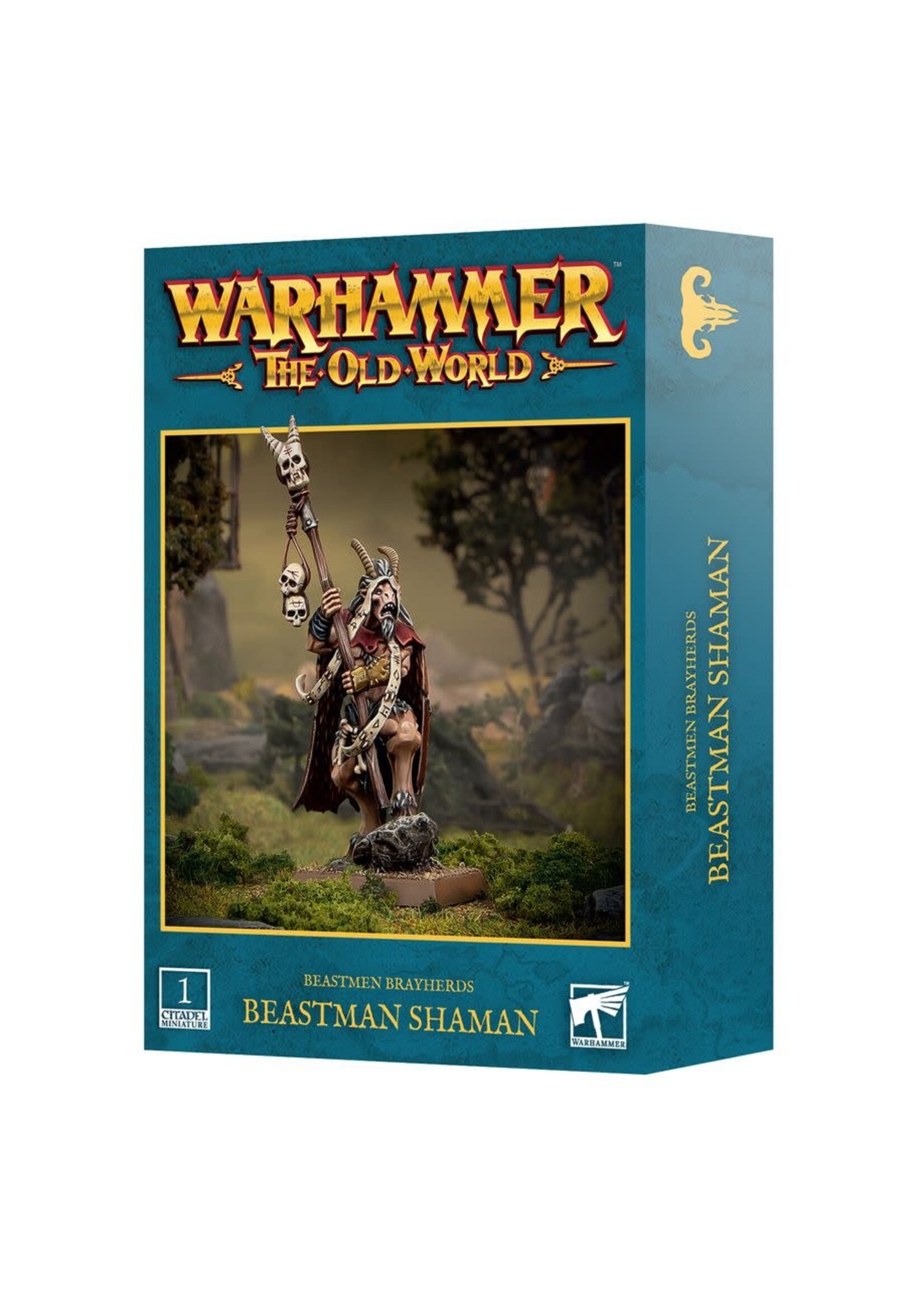 Old World Beastmen Brayherds Beastman Shaman