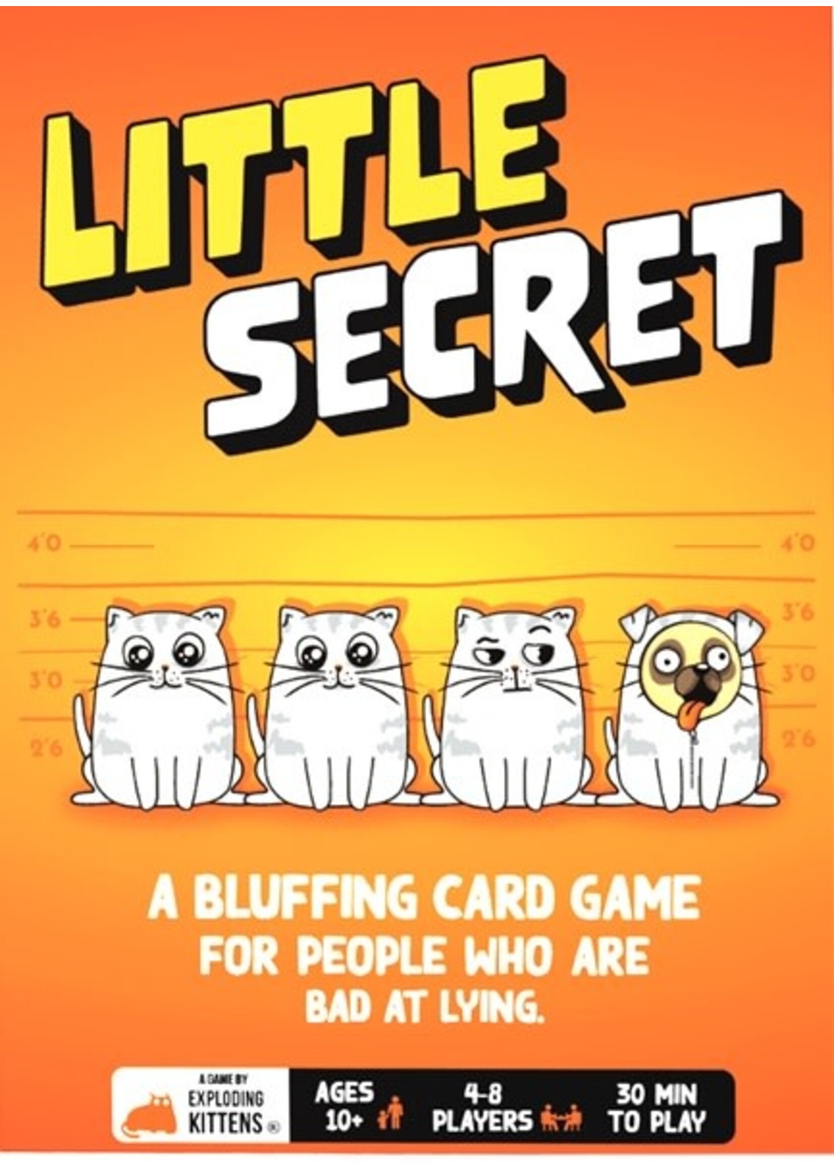 Little Secret