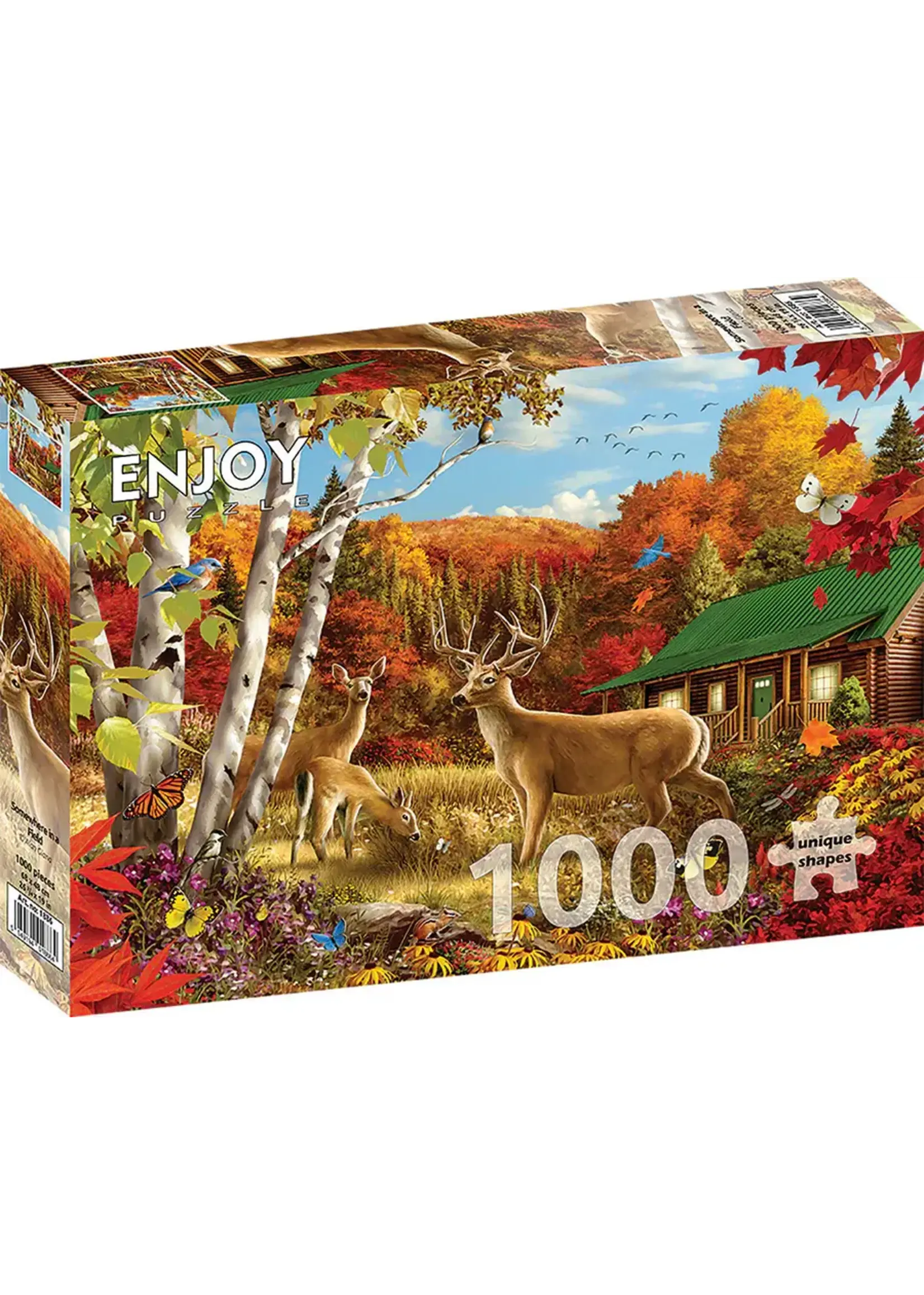 Enjoy Puzzle E1886 Somewhere in a Field (Puzzle 1000)