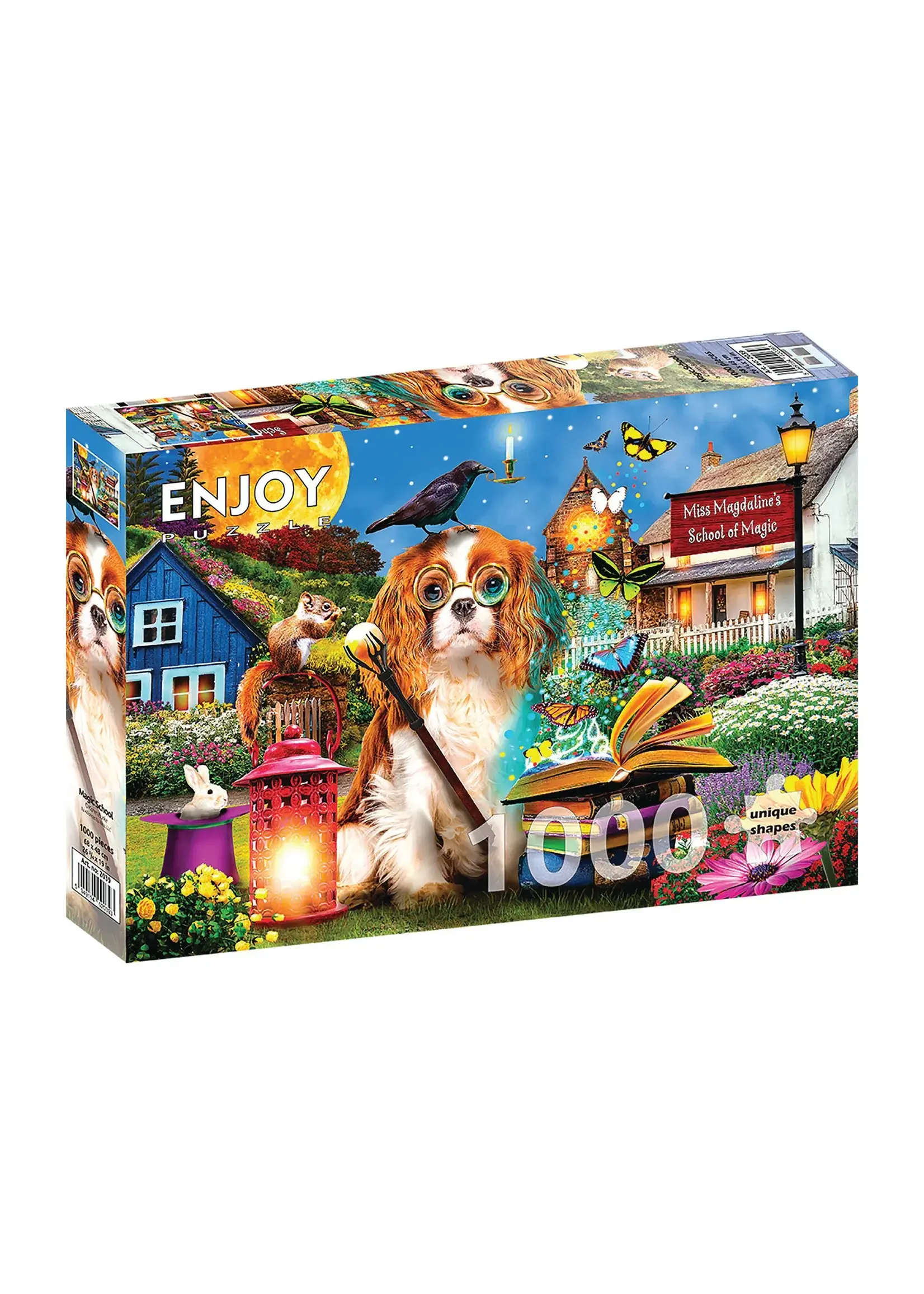 Enjoy Puzzle E2039 Magic School (Puzzle 1000)