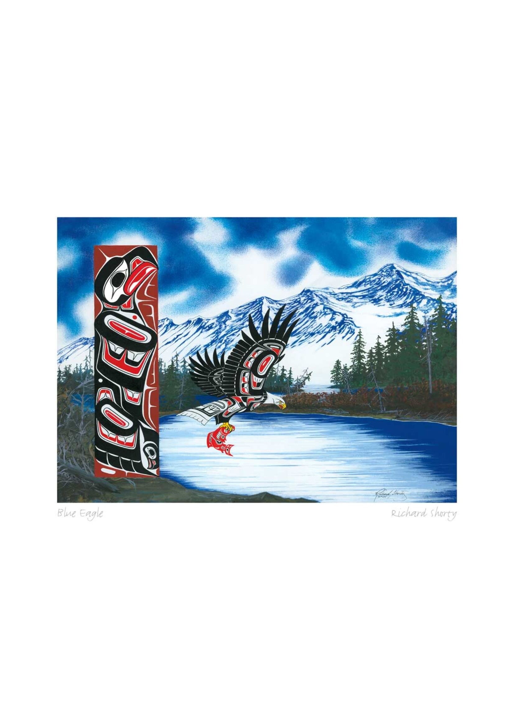 CAP972 Blue Eagle (Puzzle500)