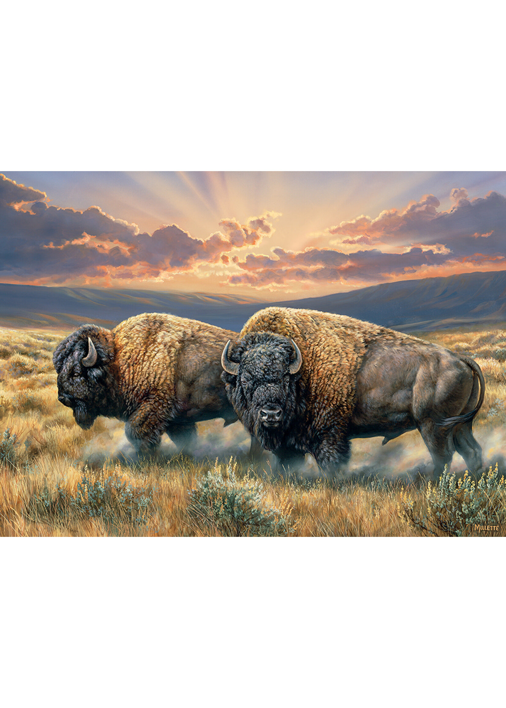 Cobble Hill CH40192 Dusty Plains (Puzzle1000)