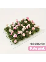 Tufts Flower Cluster Peach