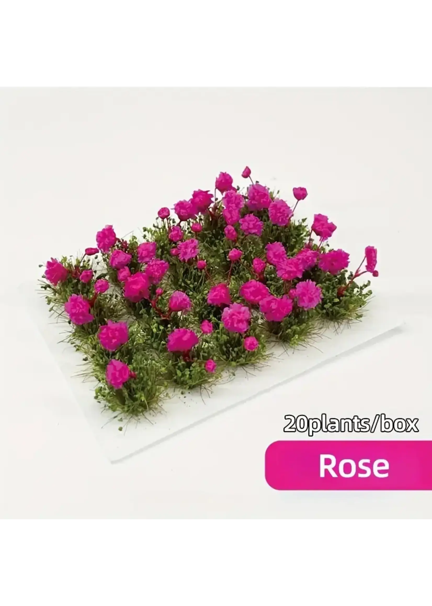 Tufts Flower Cluster Rose