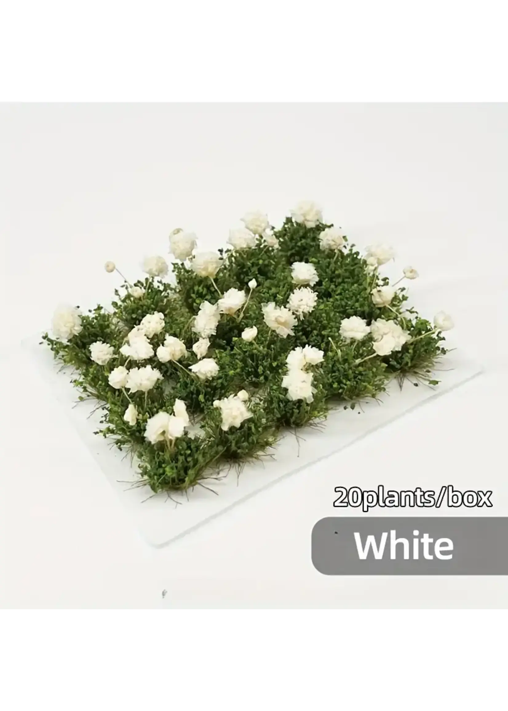 Tufts Flower Cluster White