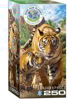 Eurographics EUR5559 Tigers (Puzzle250)