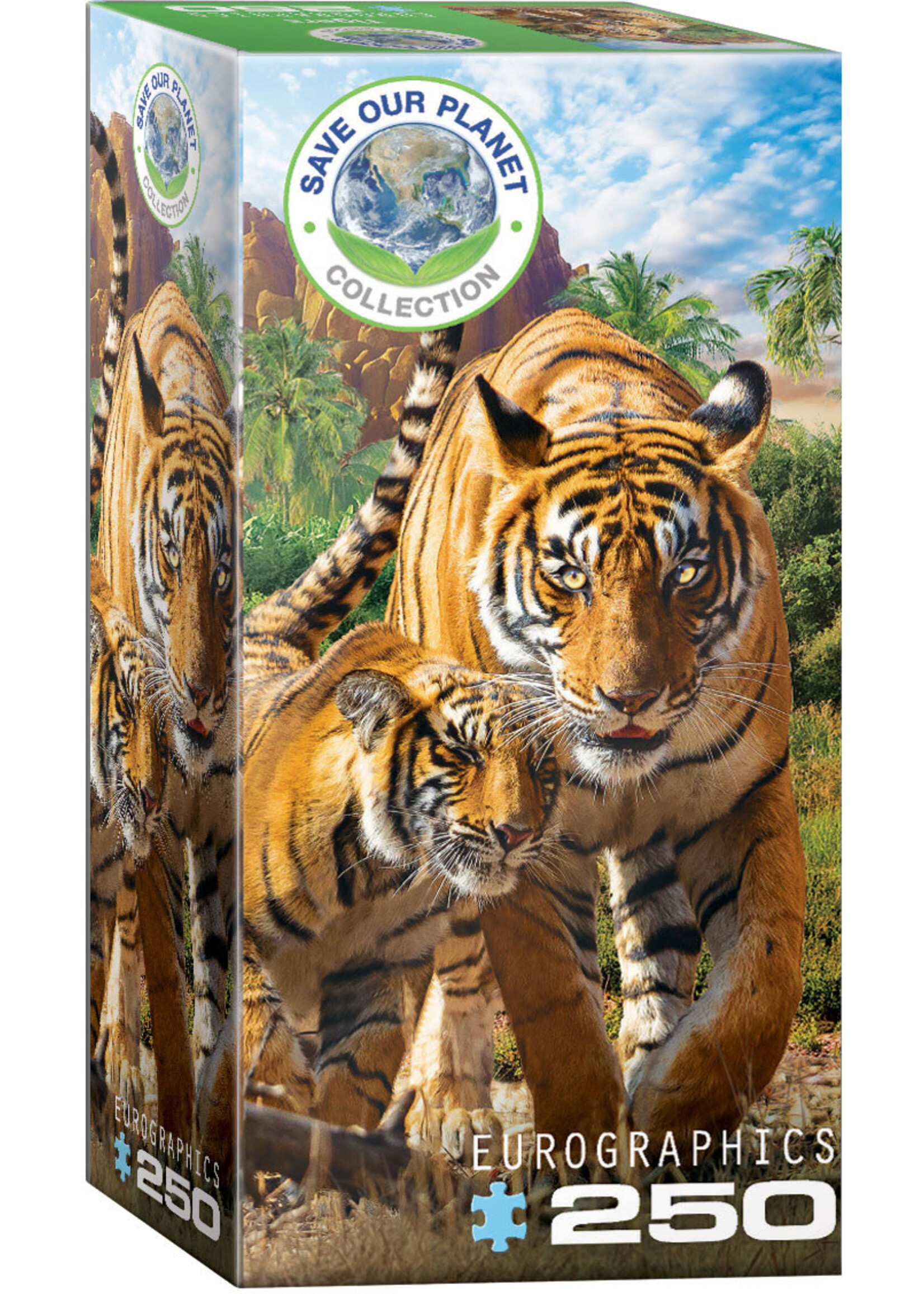Eurographics EUR5559 Tigers (Puzzle250)