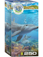 Eurographics EUR5560 Dolphins (Puzzle250)