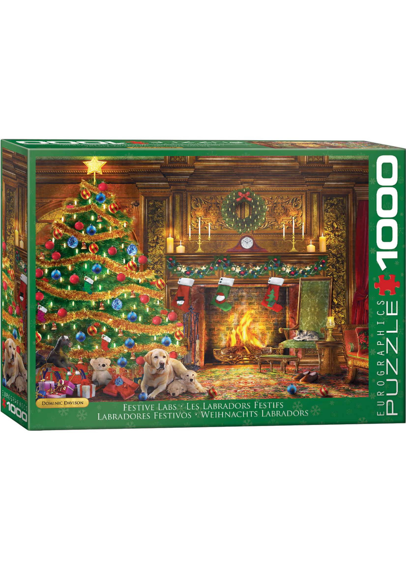 Eurographics EUR0974 Festive Labs (Puzzle1000)