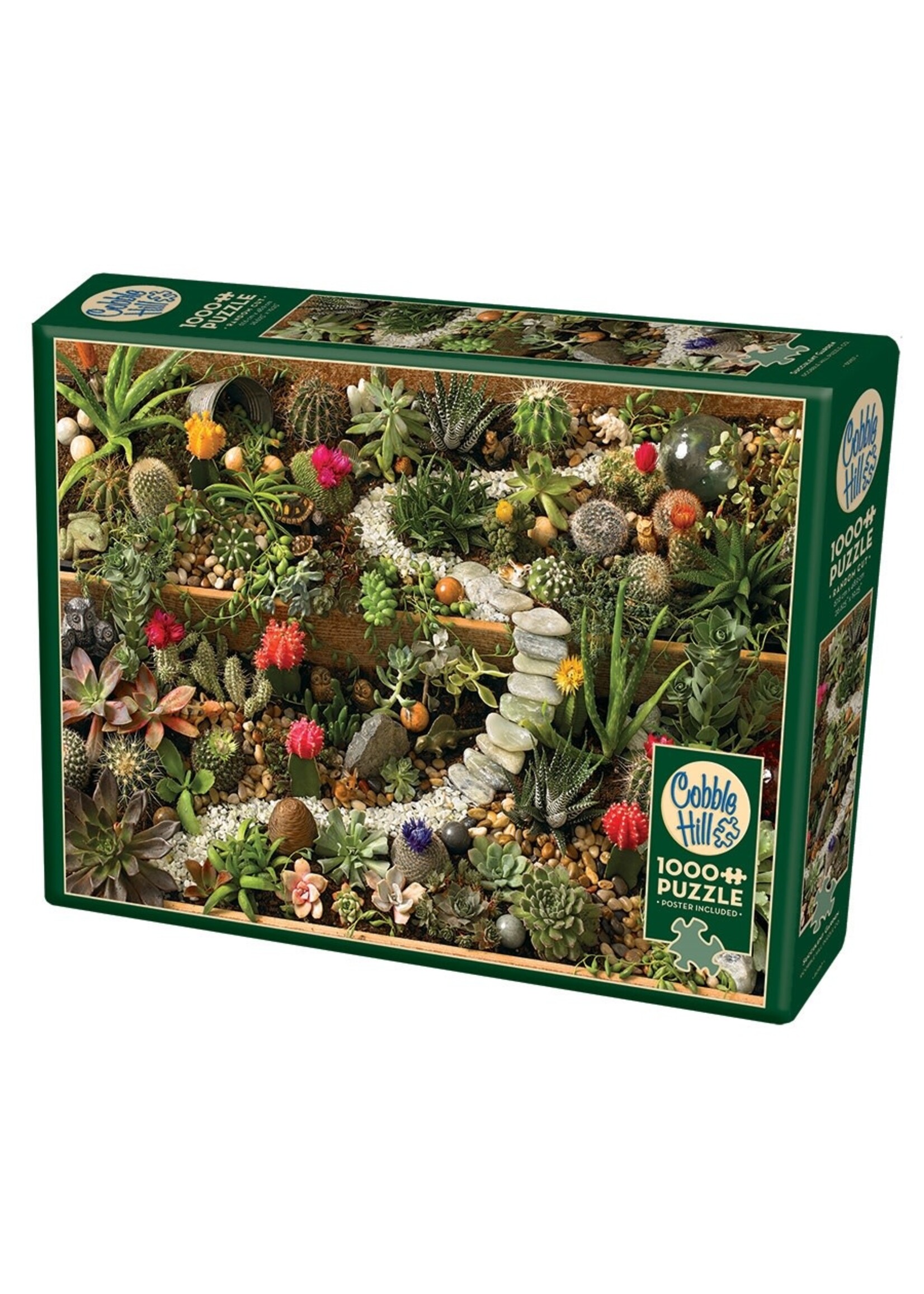 Cobble Hill CH40087 Succulent Garden (Puzzle1000)