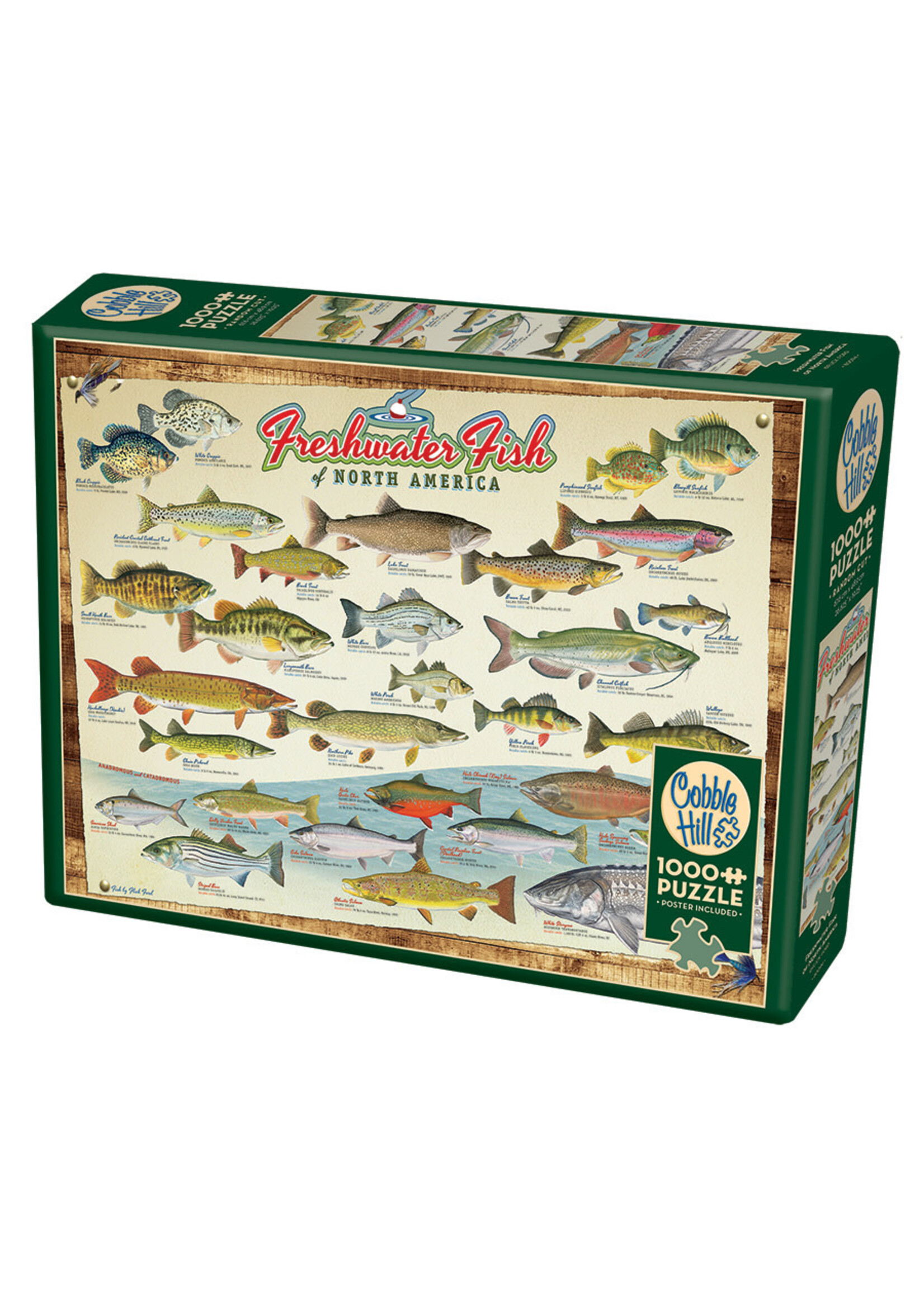 Cobble Hill CH40181 Freshwater Fish of North America (Puzzle1000)