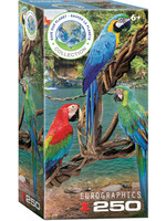 Eurographics EUR5588 Macaws (Puzzle250)