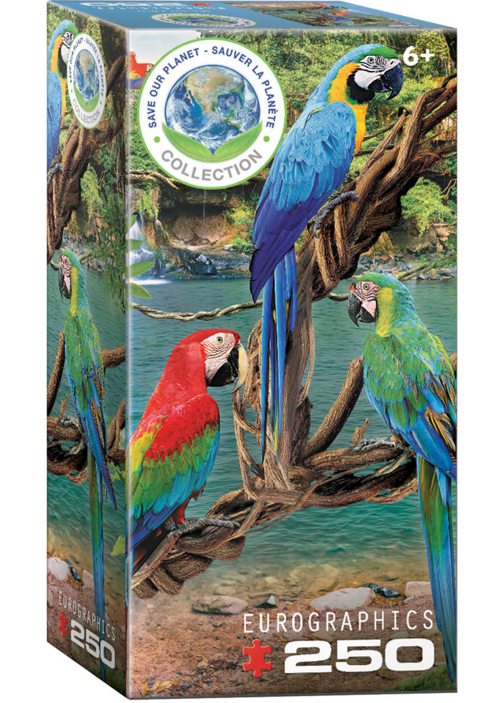 Eurographics EUR5588 Macaws (Puzzle250)