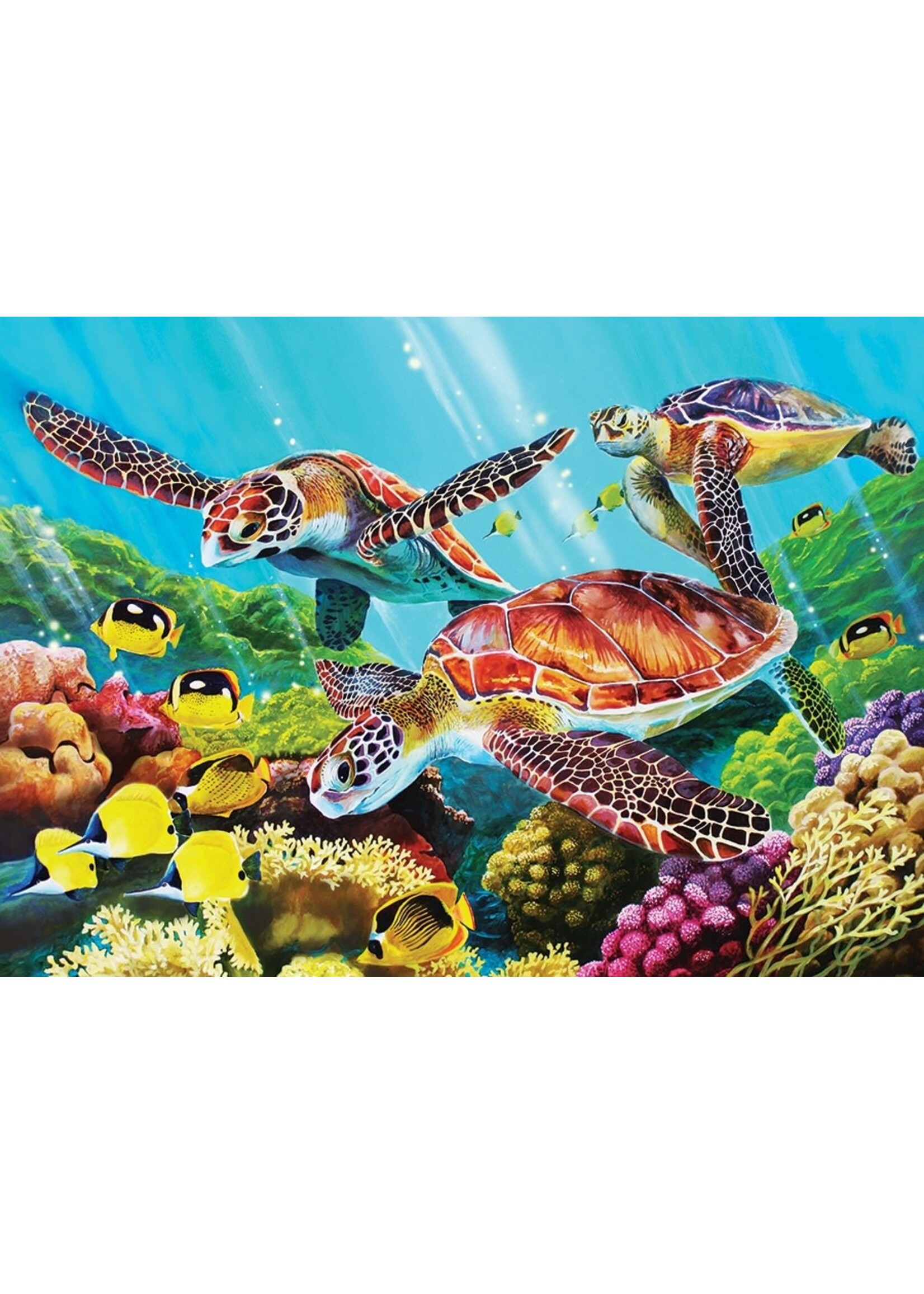 Cobble Hill CH58879: Molokini Sea Tray (Puzzle35)