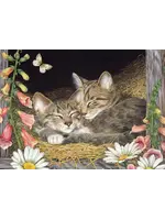 Cobble Hill CH58897 Morning Snooze (TrayPuzzle35)