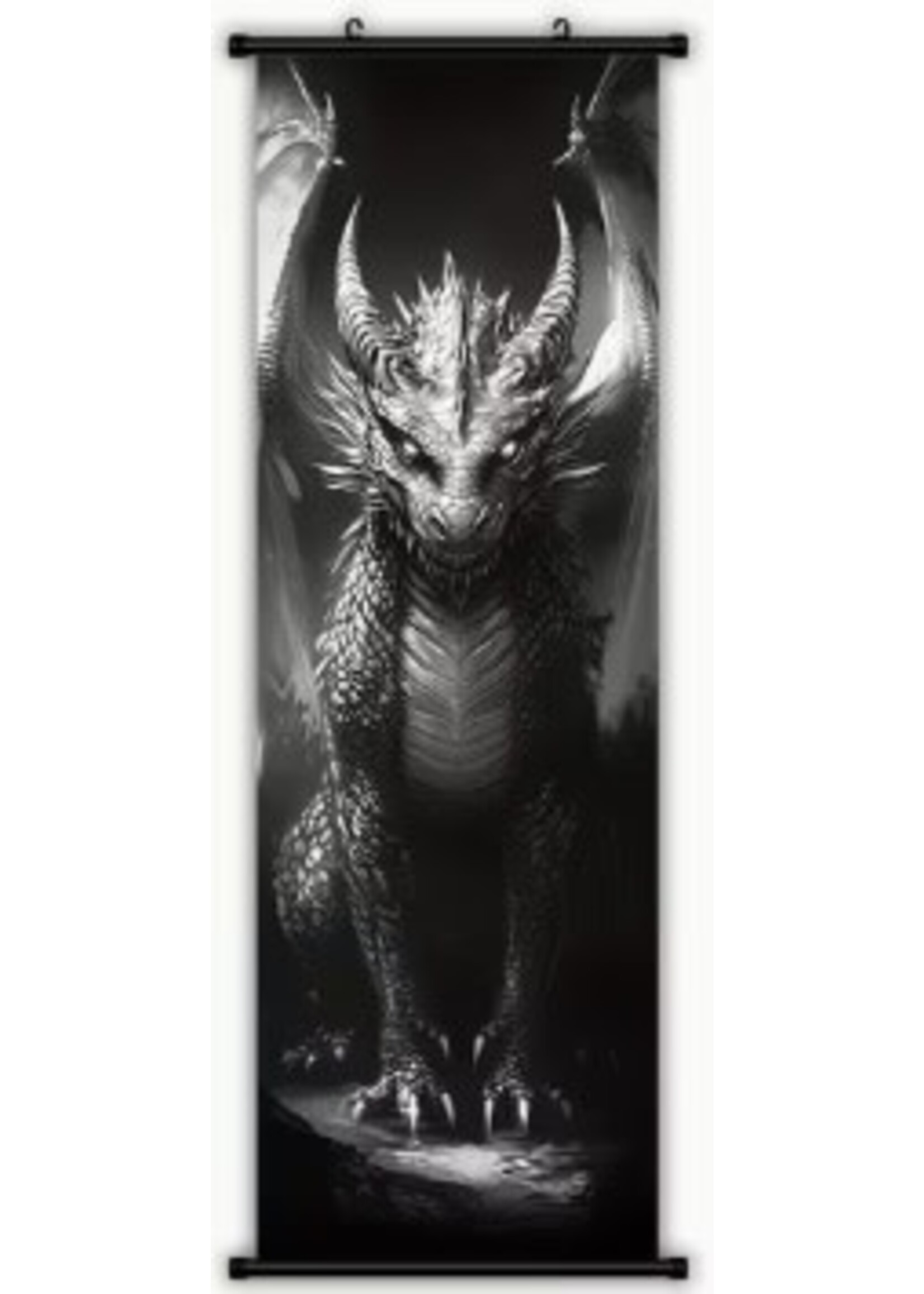 Hanging Wall Banner 15x47 Inch Fantastic Dragon #1