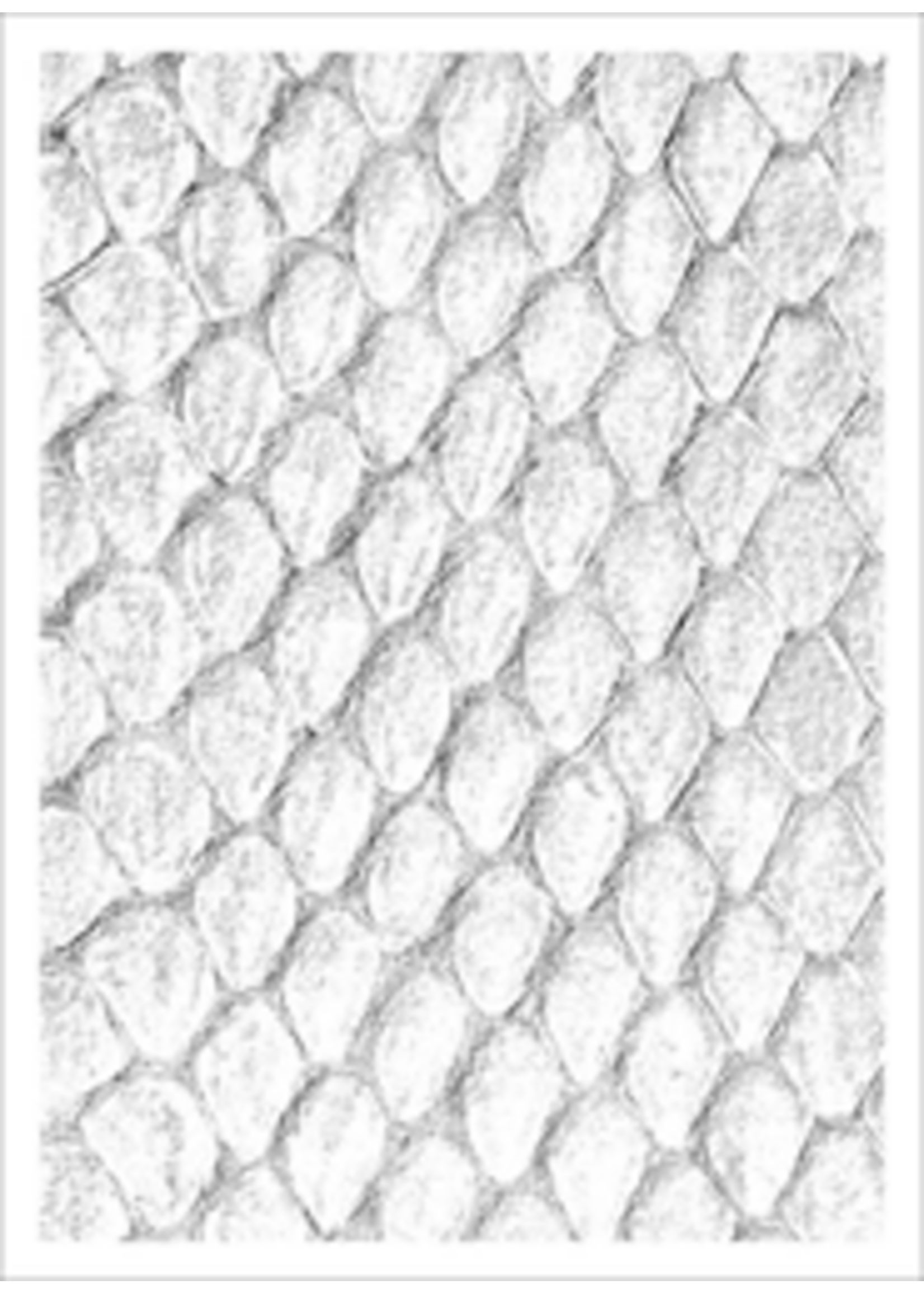 Legion Supplies Sleeves ART115 Dragon Hide White (50pc)
