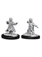 WizKids WK90328 Halfling Male Monk PF WV15
