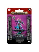 AoS Disicples of Tzeentch Tzaangor Shaman