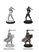 WizKids WK90060 DND Human Male Paladin WV12