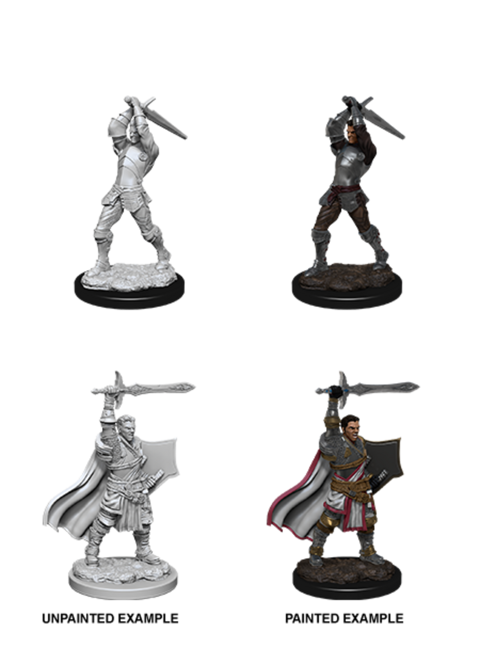 WizKids WK90060 DND Human Male Paladin WV12