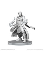 WizKids WK90789 CR Beauregard Lionett & Caleb Widogast WV26