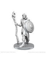 WizKids WK90790 CR Mollymauk Tealeaf & Caduceus Clay WV26