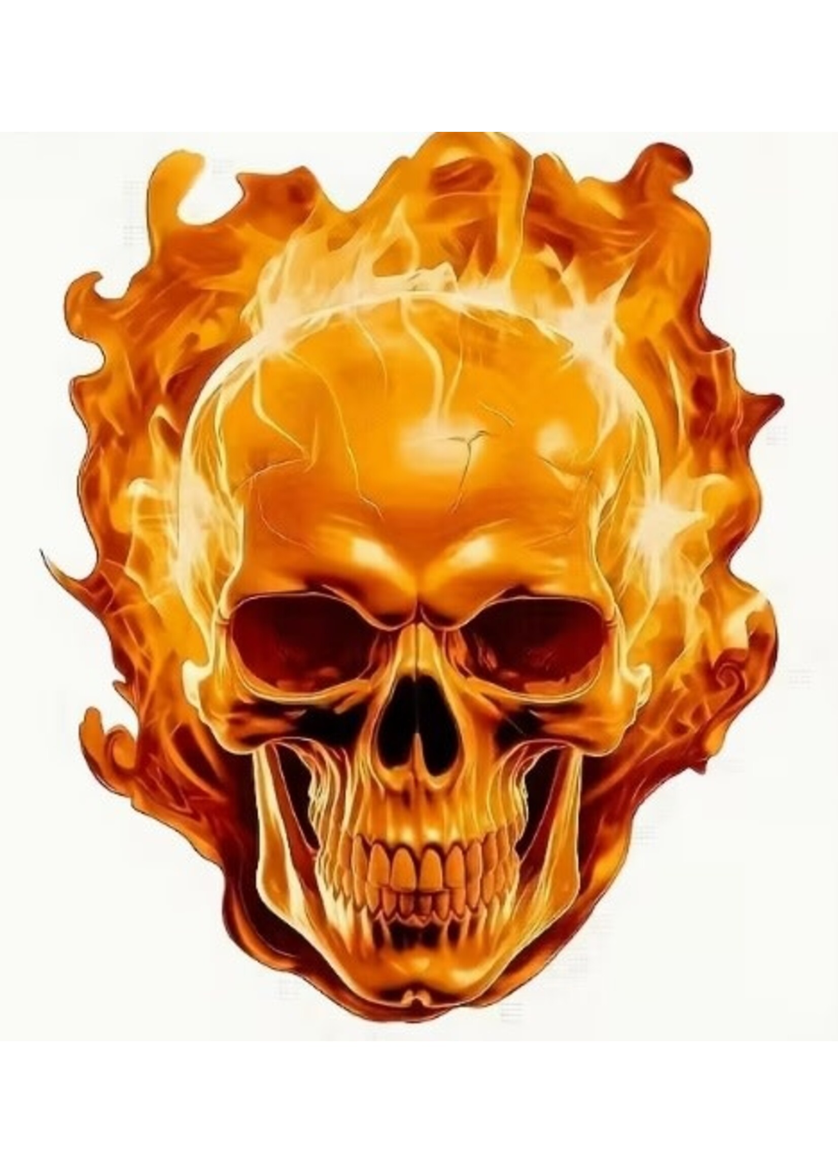 Sticker Flame Skull