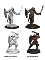 WizKids WK73341 DND Dragonborn Female Paladin WV5