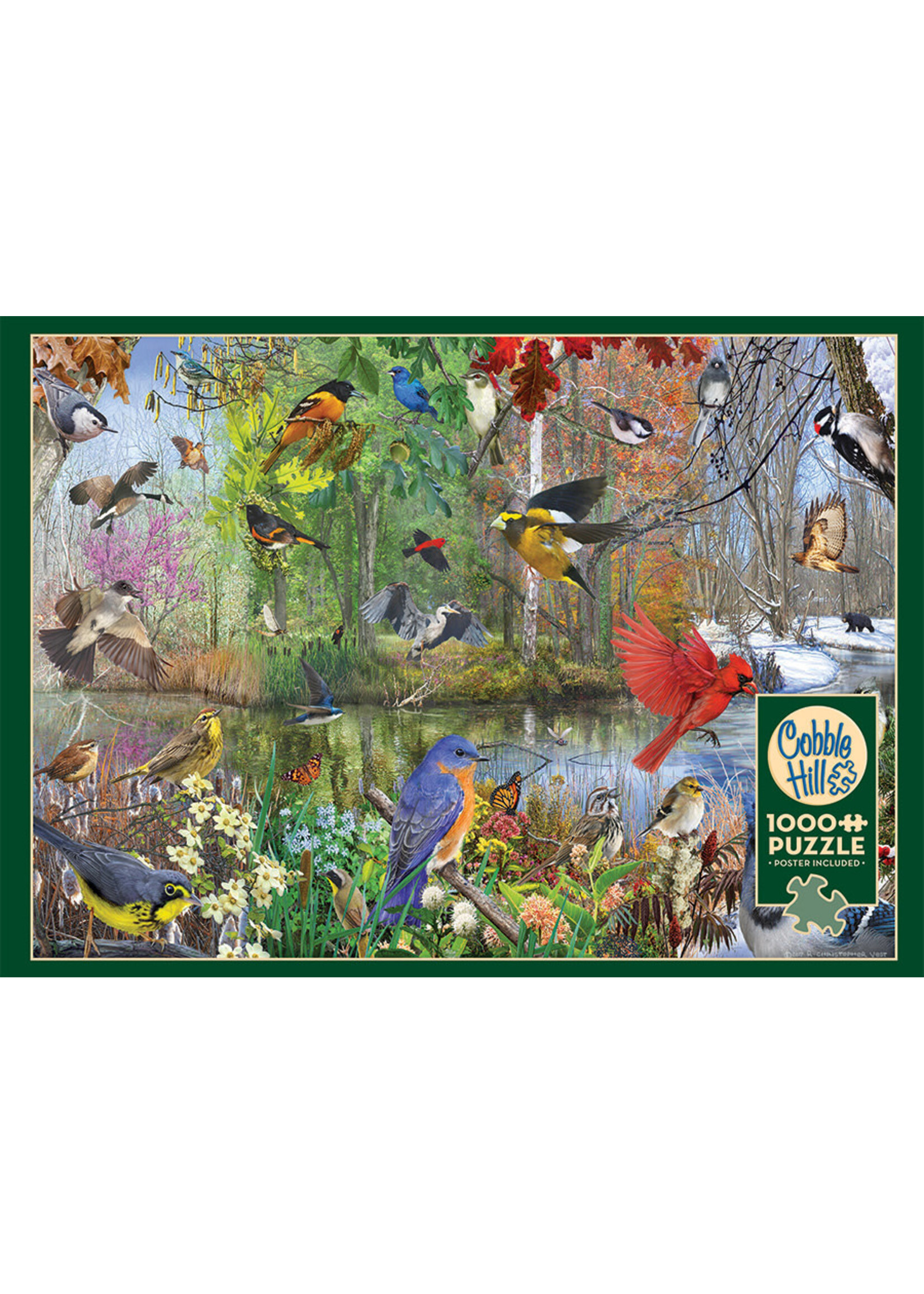 Cobble Hill CH40163 Birds Of The Season (Puzzle1000)