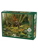 Cobble Hill CH40278 Mother Nature (Puzzle1000)