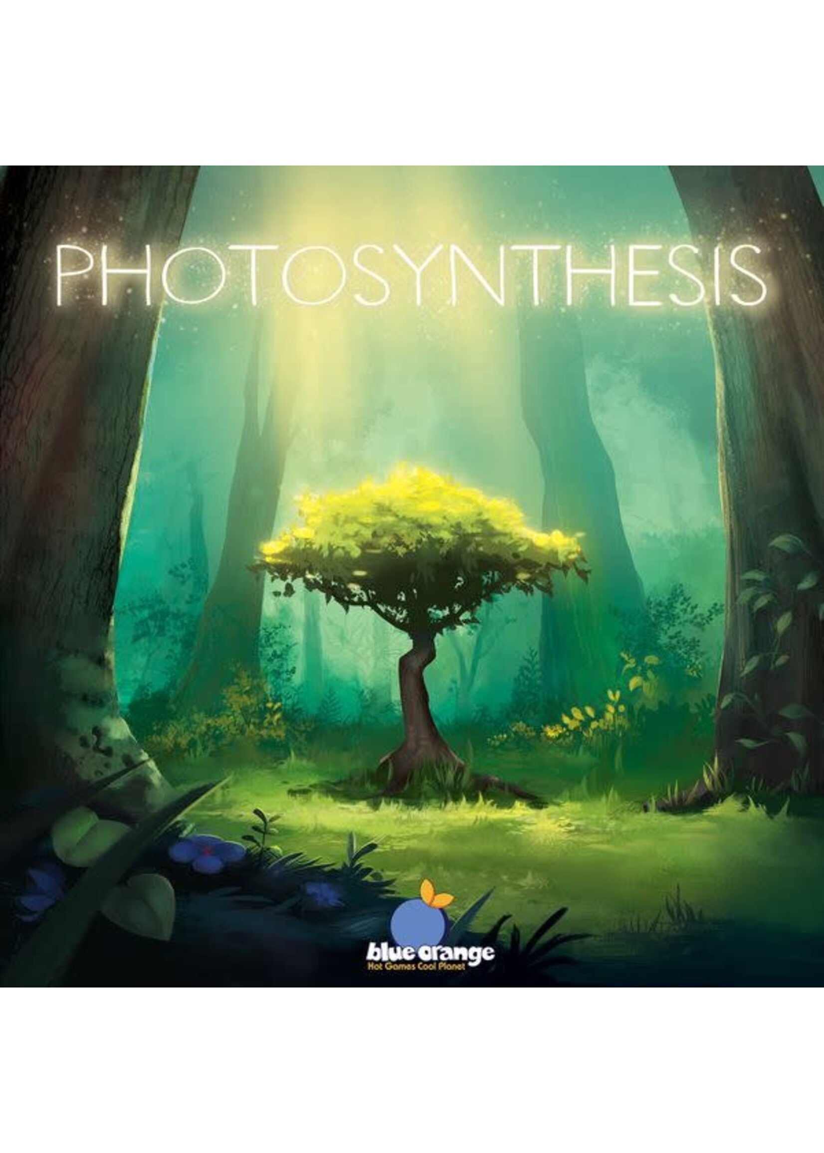 Photosynthesis