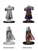WizKids WK73675 DND Minsc & Delina WV8