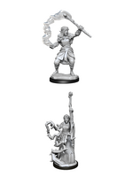 WizKids WK90146 DND Firbolg Druid Female WV13