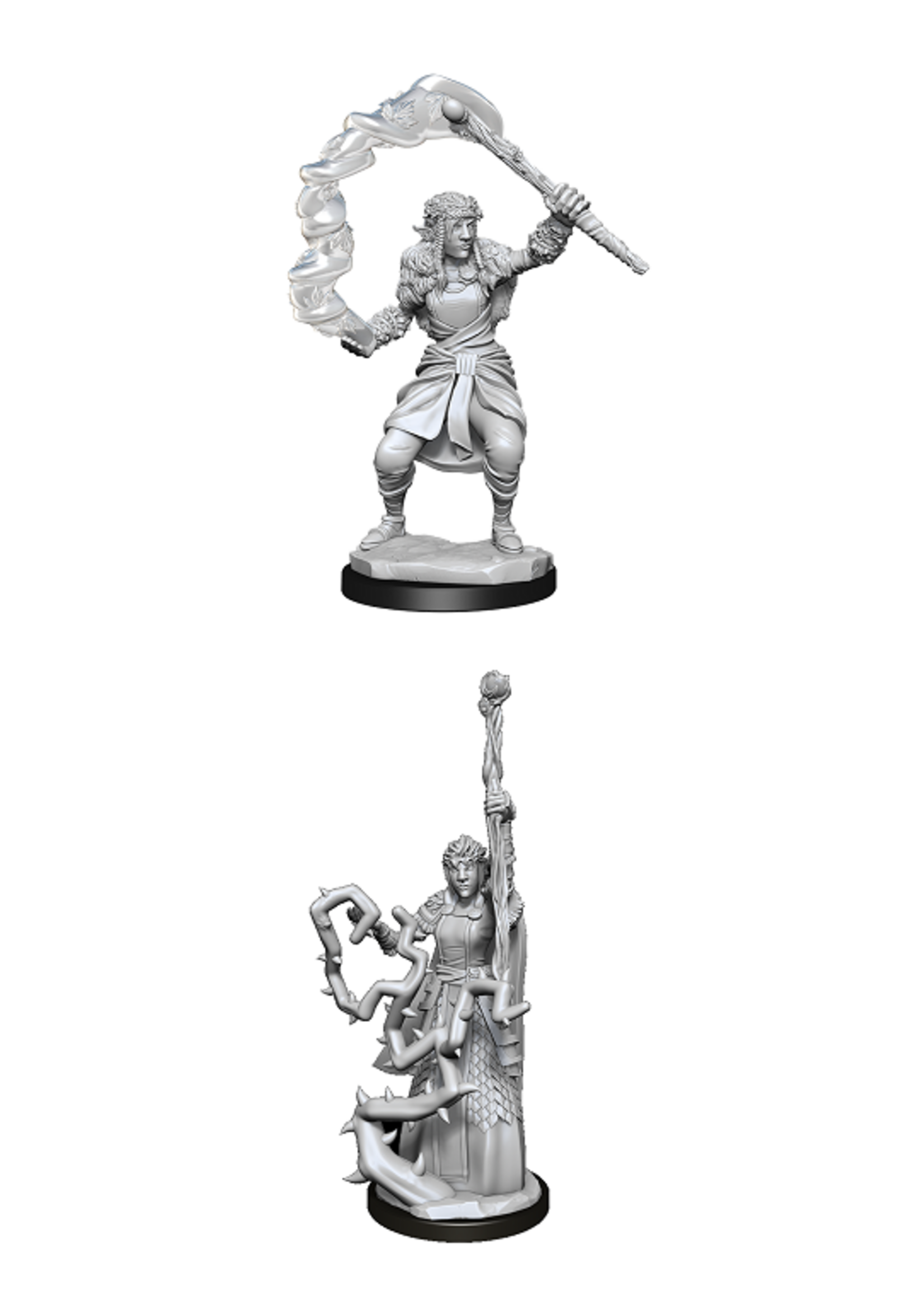 WizKids WK90146 DND Firbolg Druid Female WV13