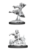 WizKids WK90008 DND Female Human Monk WV11