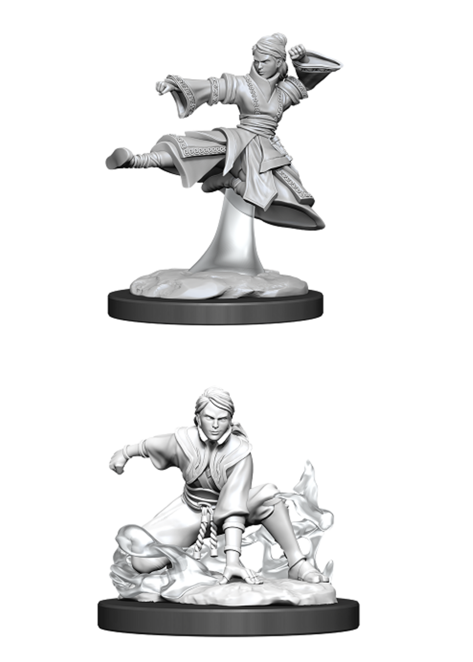 WizKids WK90008 DND Female Human Monk WV11