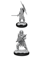 WizKids WK90144 DND Human Fighter Male WV13