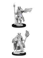 WizKids WK90151 DND Cleric/Wizard Male WV13