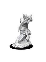 WizKids WK90163 DND Efreeti WV13
